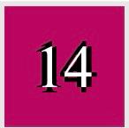 Intense Mat Tinta Labbra MALINKA