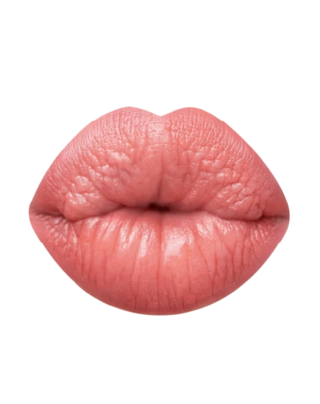 MADAME LIPSTYLO THE MAT Rossetto Stylo effetto mat